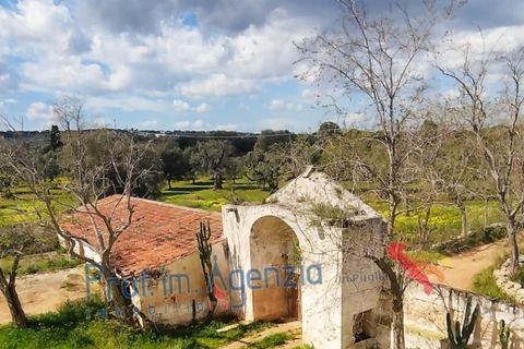Landejendom i Carovigno, Brindisi, Carovigno - € 3.500.000 | Ref: 122559 - foto 3